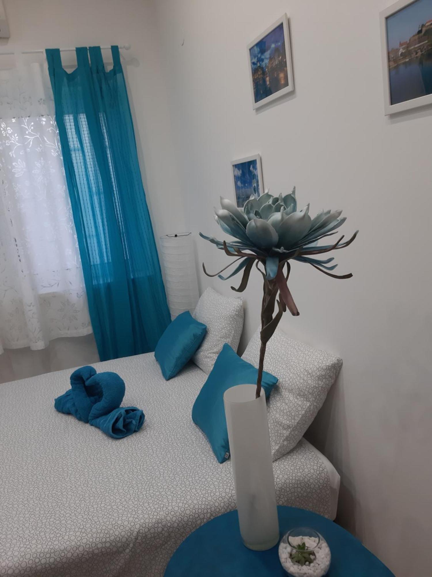 Apartament Fedra Nowy Sad Zewnętrze zdjęcie