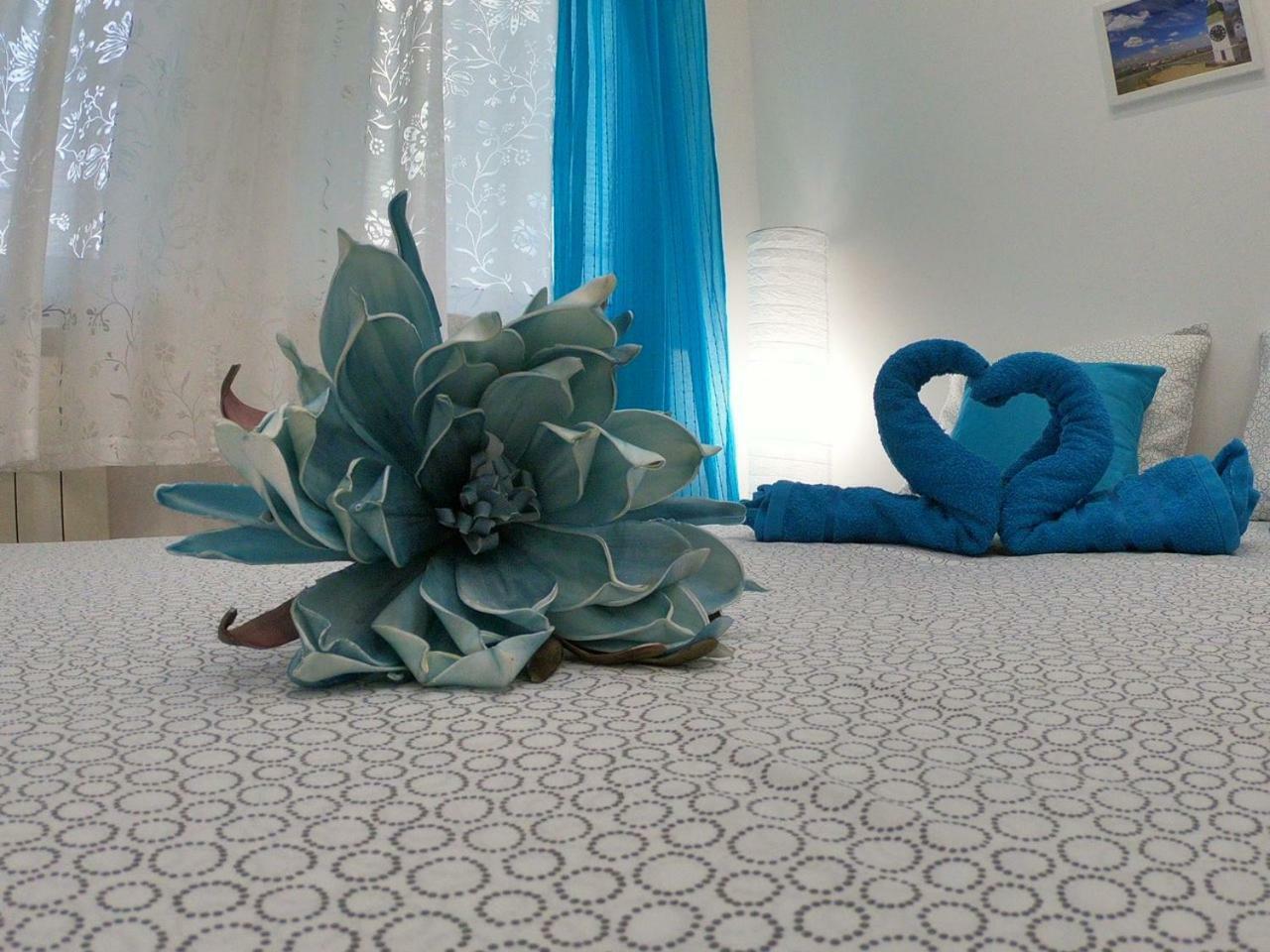 Apartament Fedra Nowy Sad Zewnętrze zdjęcie